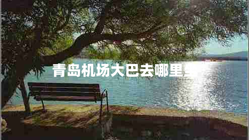 青島機(jī)場大巴去哪里坐