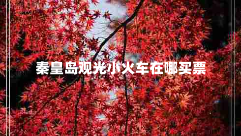 秦皇島觀光小火車在哪買票
