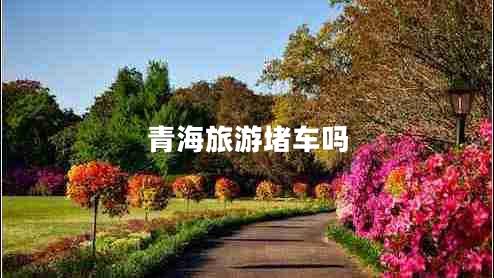 青海旅游堵車嗎