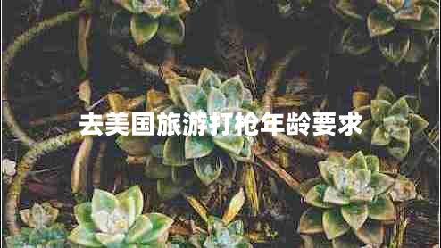 去美國(guó)旅游打槍年齡要求