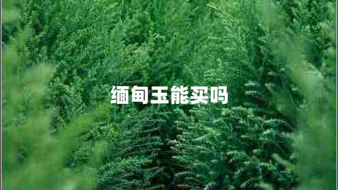 緬甸玉能買嗎