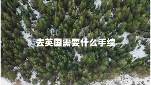 去英國需要什么手續(xù)