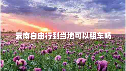 云南自由行到當?shù)乜梢宰廛噯? title=