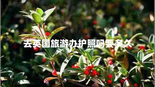 去英國(guó)旅游辦護(hù)照嗎要多久