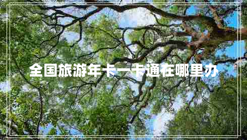 全國(guó)旅游年卡一卡通在哪里辦