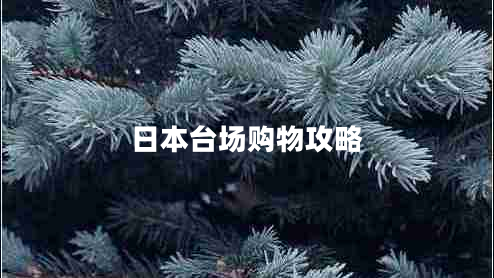 日本臺場購物攻略