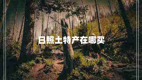 日照土特產(chǎn)在哪買