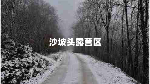沙坡頭露營區(qū)