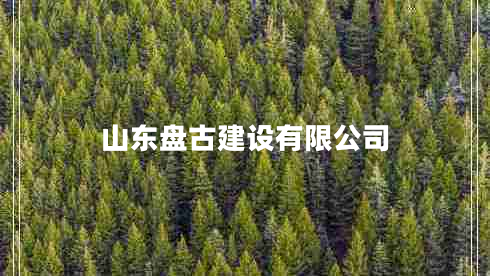 山東盤古建設有限公司