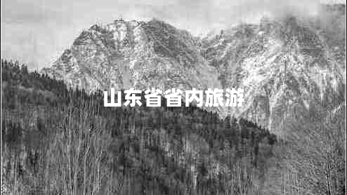山東省省內(nèi)旅游