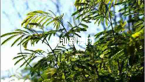 潮汕到澳門