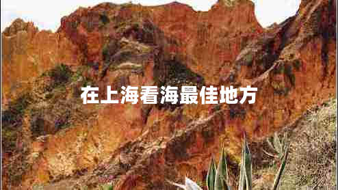 在上?？春Ｗ罴训胤? title=