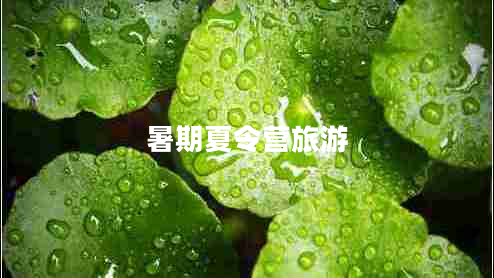 暑期夏令營旅游
