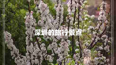 深圳的旅行景點