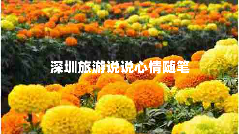 深圳旅游說說心情隨筆
