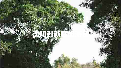 沈陽到新疆旅游團