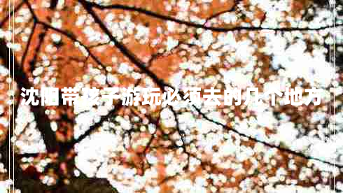 沈陽帶孩子游玩必須去的幾個地方