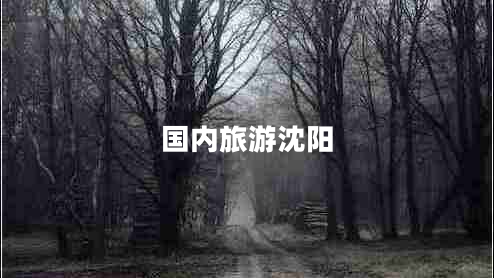 國(guó)內(nèi)旅游沈陽