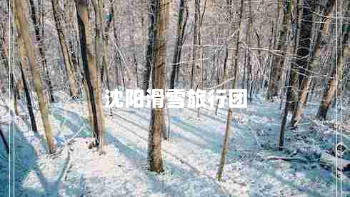 沈陽(yáng)滑雪旅行團(tuán)