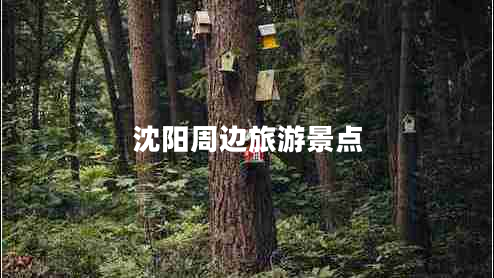 沈陽周邊旅游景點(diǎn)