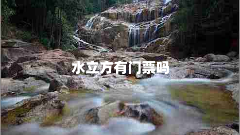 水立方有門票嗎