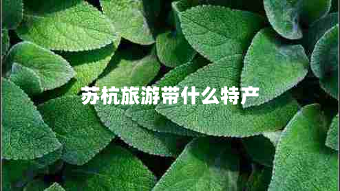 蘇杭旅游帶什么特產