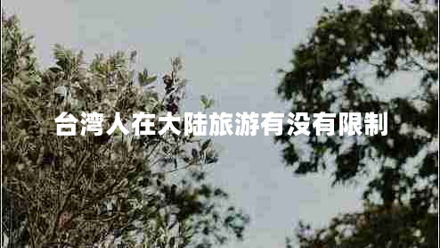 臺(tái)灣人在大陸旅游有沒有限制