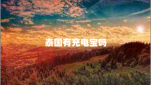 泰國(guó)有充電寶嗎