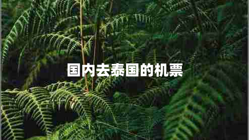國內(nèi)去泰國的機票