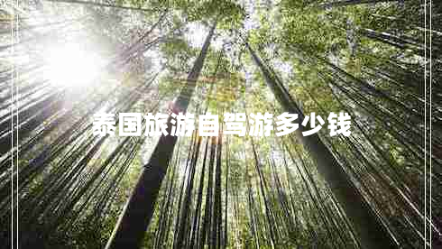 泰國(guó)旅游自駕游多少錢