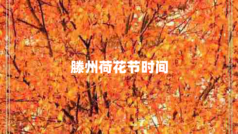 滕州荷花節(jié)時(shí)間