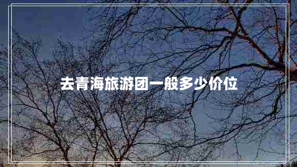 去青海旅游團(tuán)一般多少價位