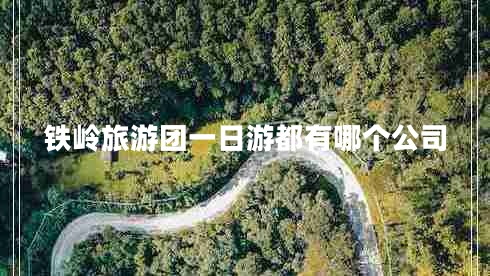 鐵嶺旅游團一日游都有哪個公司