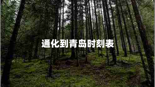 通化到青島時刻表