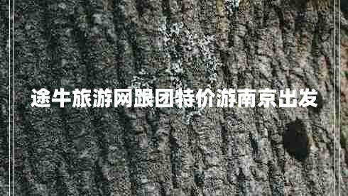 途牛旅游網(wǎng)跟團特價游南京出發(fā)