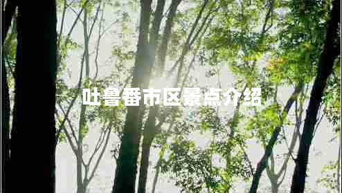 吐魯番市區(qū)景點介紹