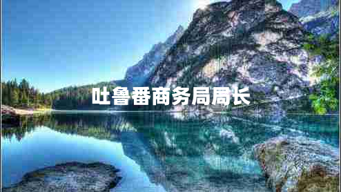 吐魯番商務(wù)局局長(zhǎng)