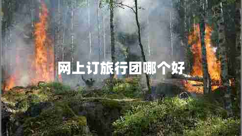 網(wǎng)上訂旅行團(tuán)哪個(gè)好