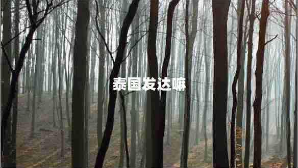 泰國發(fā)達(dá)嘛