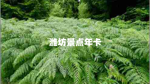 濰坊景點年卡