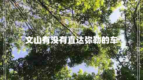 文山有沒有直達彌勒的車
