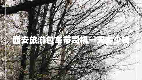 西安旅游包車帶司機(jī)一天多少錢