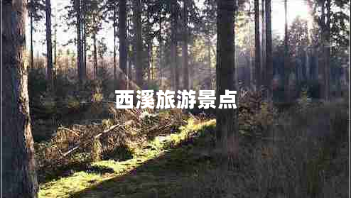 西溪旅游景點