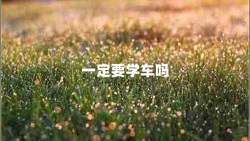 一定要學(xué)車(chē)嗎
