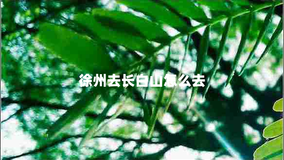 徐州去長(zhǎng)白山怎么去