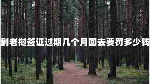 到老撾簽證過(guò)期幾個(gè)月回去要罰多少錢
