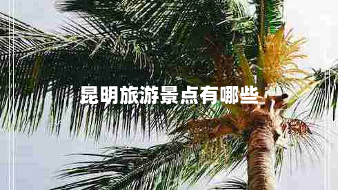 昆明旅游景點有哪些