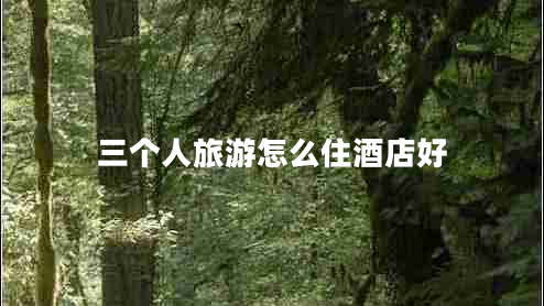 三個人旅游怎么住酒店好