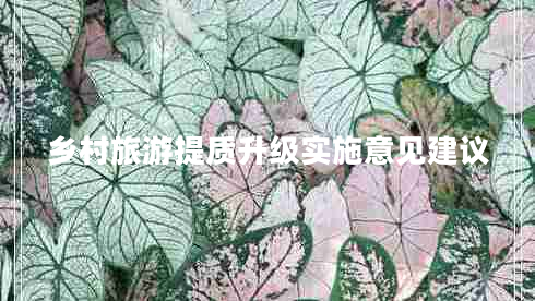 鄉(xiāng)村旅游提質(zhì)升級(jí)實(shí)施意見(jiàn)建議