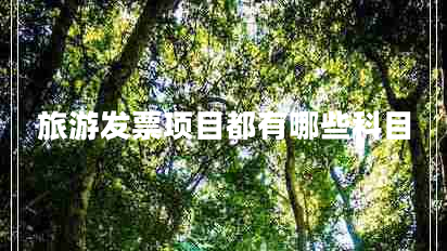 旅游發(fā)票項目都有哪些科目